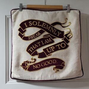 Pottery Barn Harry Potter Pillow Case